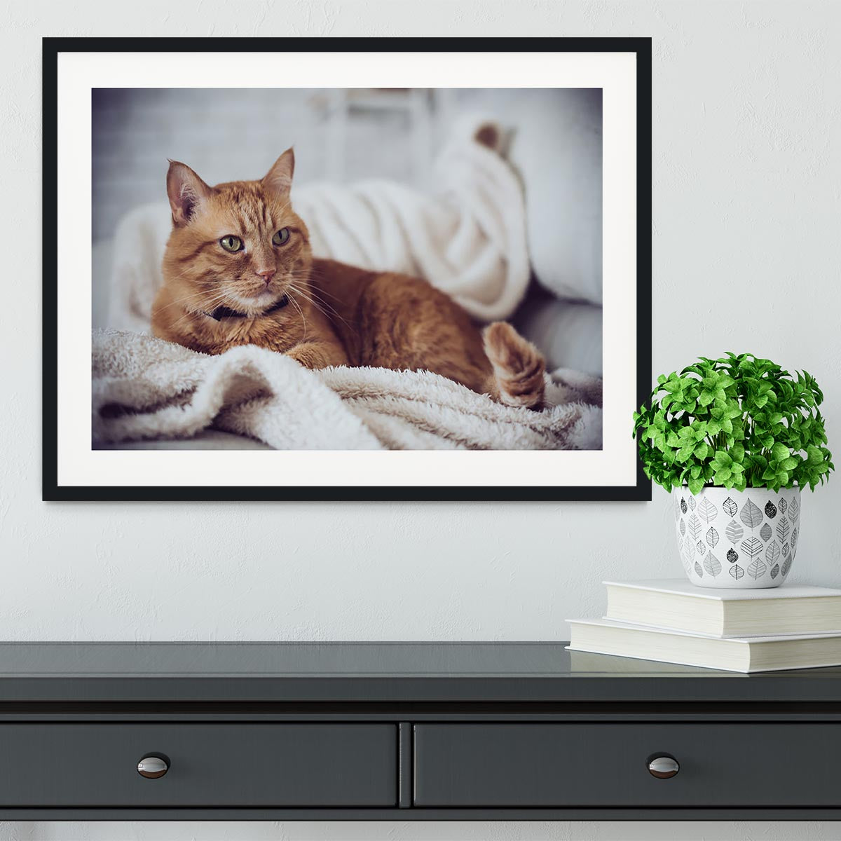 Large home fluffy ginger cat lying on the sofa Framed Print - Canvas Art Rocks - 1