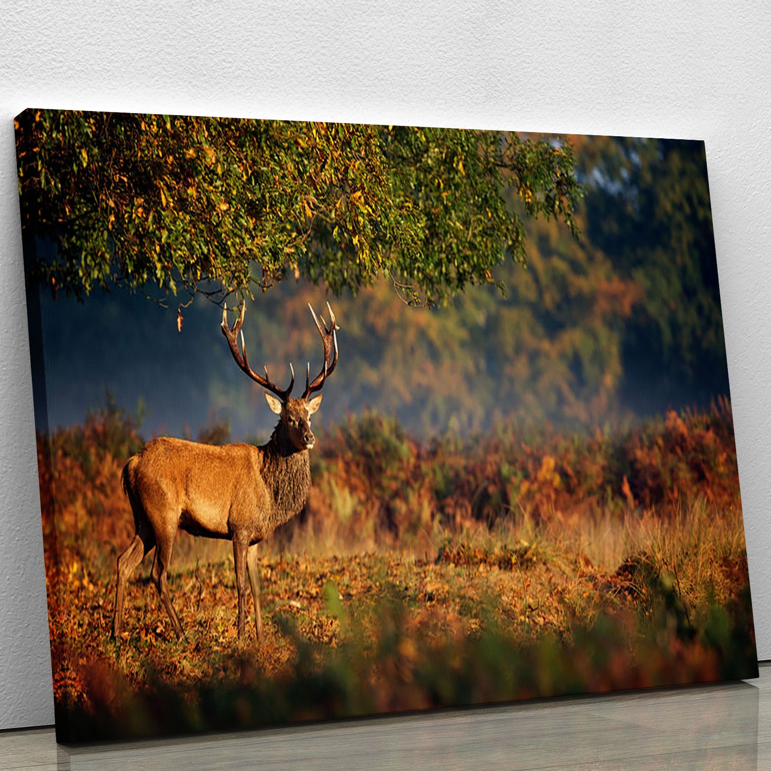 Large red deer stag in autumn Canvas Print or Poster - Canvas Art Rocks - 1