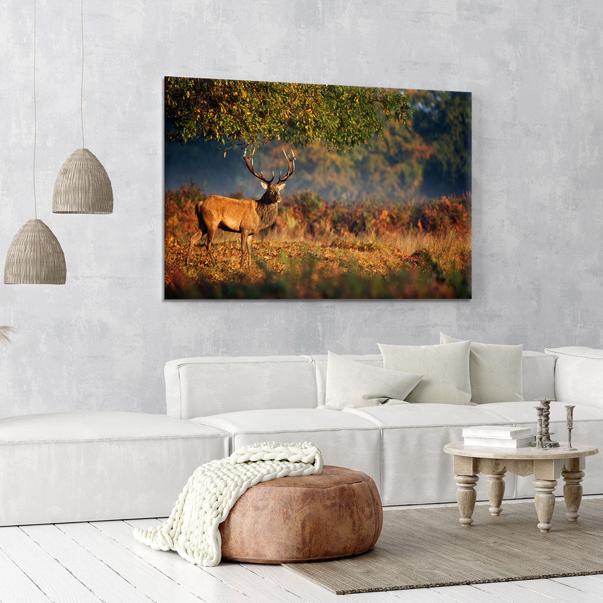 Large red deer stag in autumn Canvas Print or Poster - Canvas Art Rocks - 6