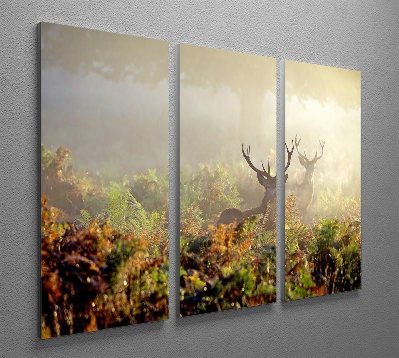 Large red deer stag in mist 3 Split Panel Canvas Print - Canvas Art Rocks - 2