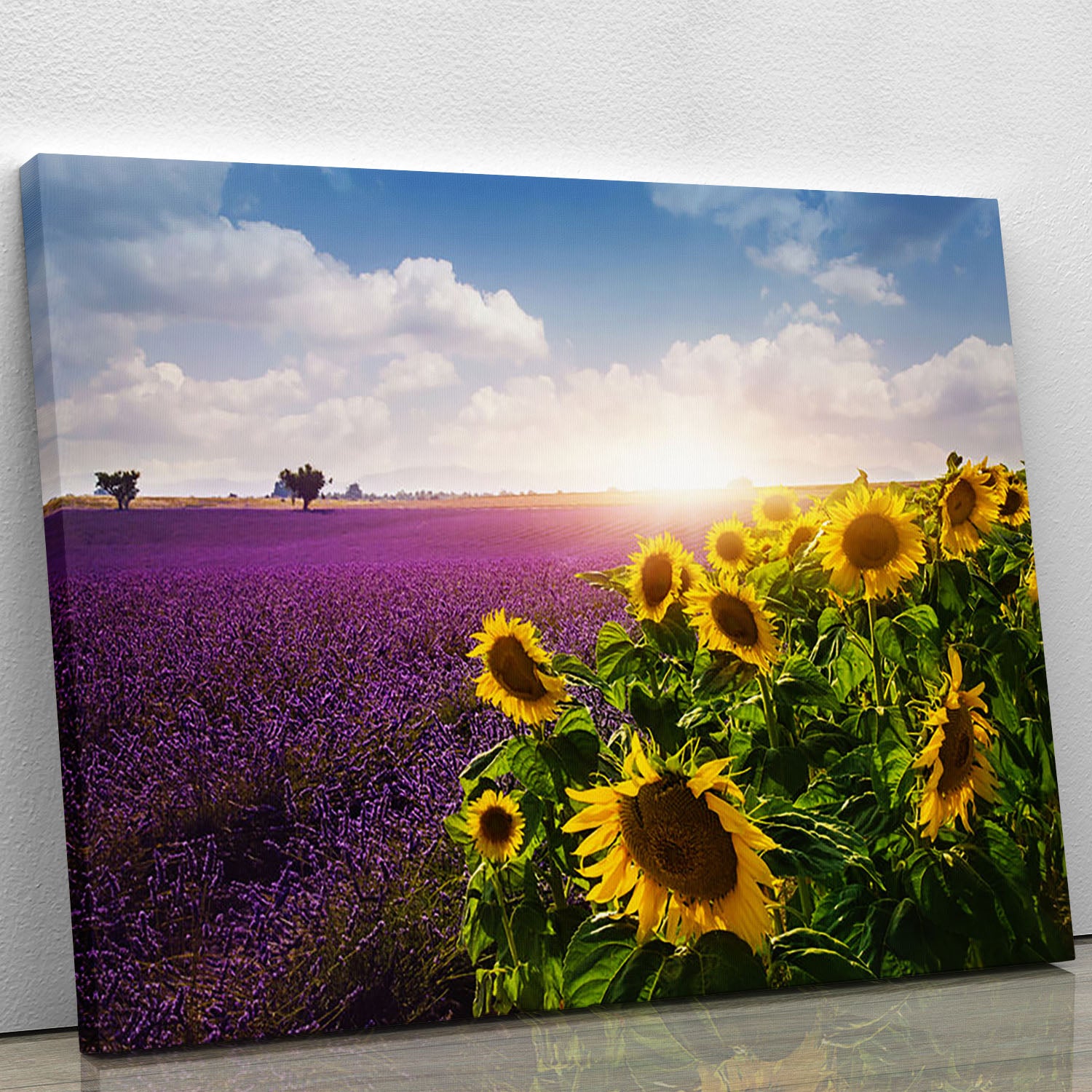 Lavender and sunflowers fields Canvas Print or Poster - Canvas Art Rocks - 1