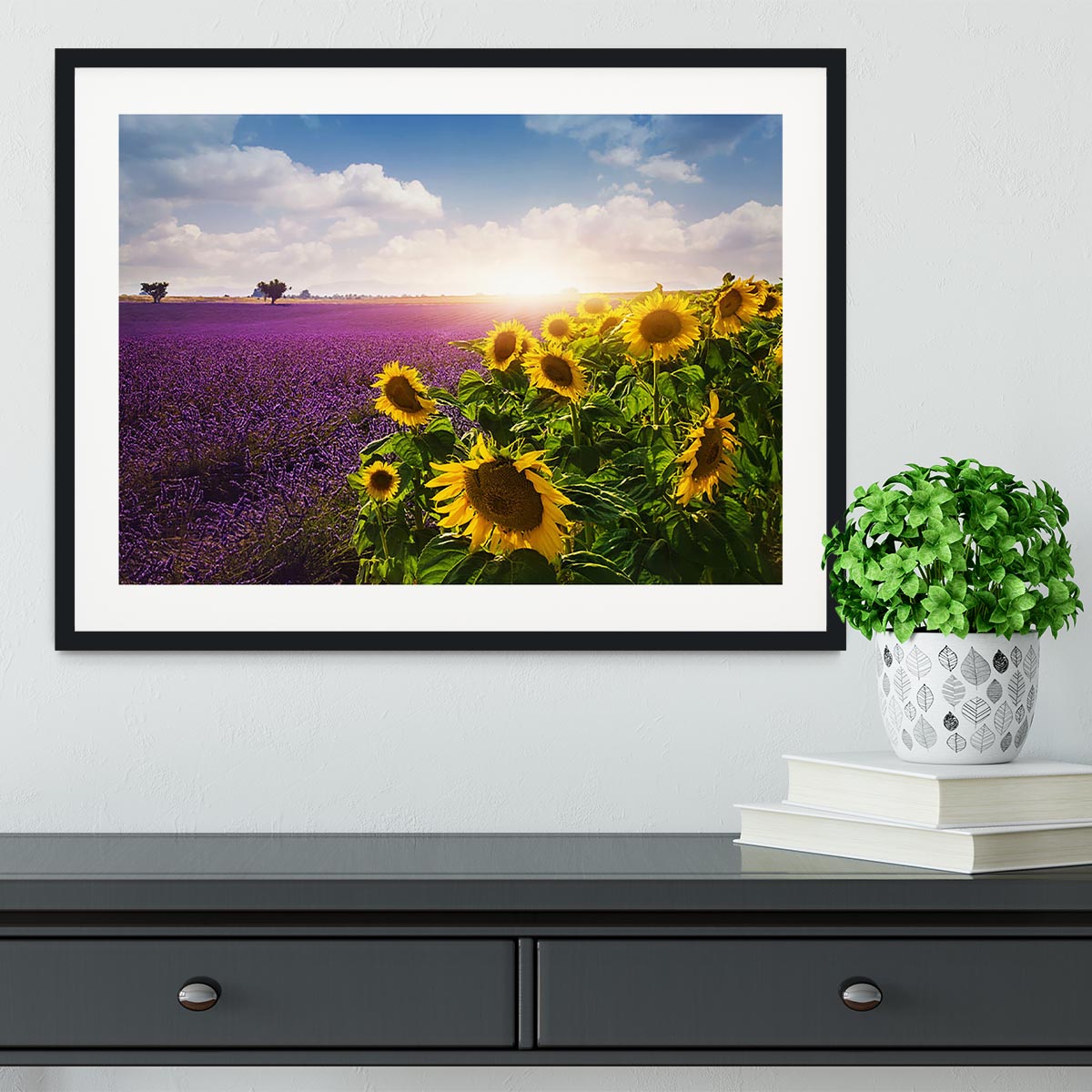 Lavender and sunflowers fields Framed Print - Canvas Art Rocks - 1