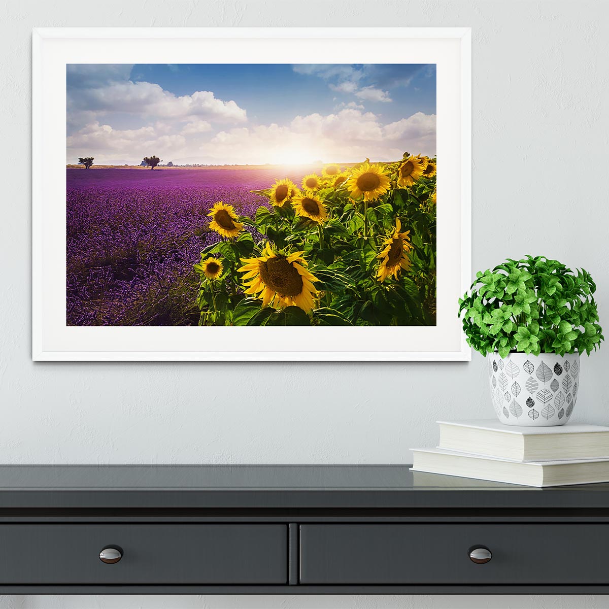 Lavender and sunflowers fields Framed Print - Canvas Art Rocks - 5