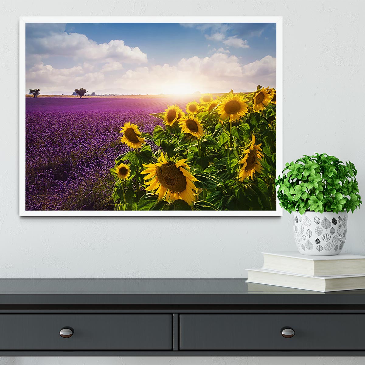 Lavender and sunflowers fields Framed Print - Canvas Art Rocks -6
