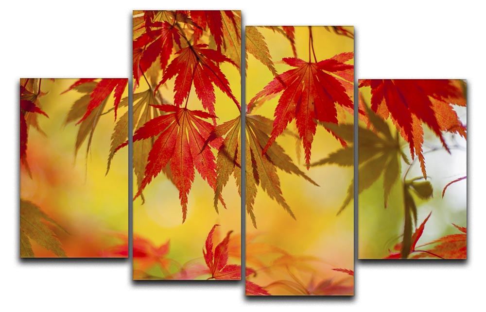 Leaf Patterns 4 Split Panel Canvas - Canvas Art Rocks - 1