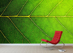 Leaf macro shot Wall Mural Wallpaper - Canvas Art Rocks - 2