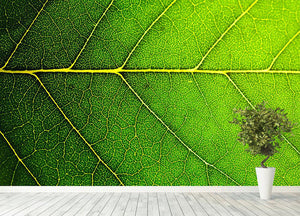 Leaf macro shot Wall Mural Wallpaper - Canvas Art Rocks - 4