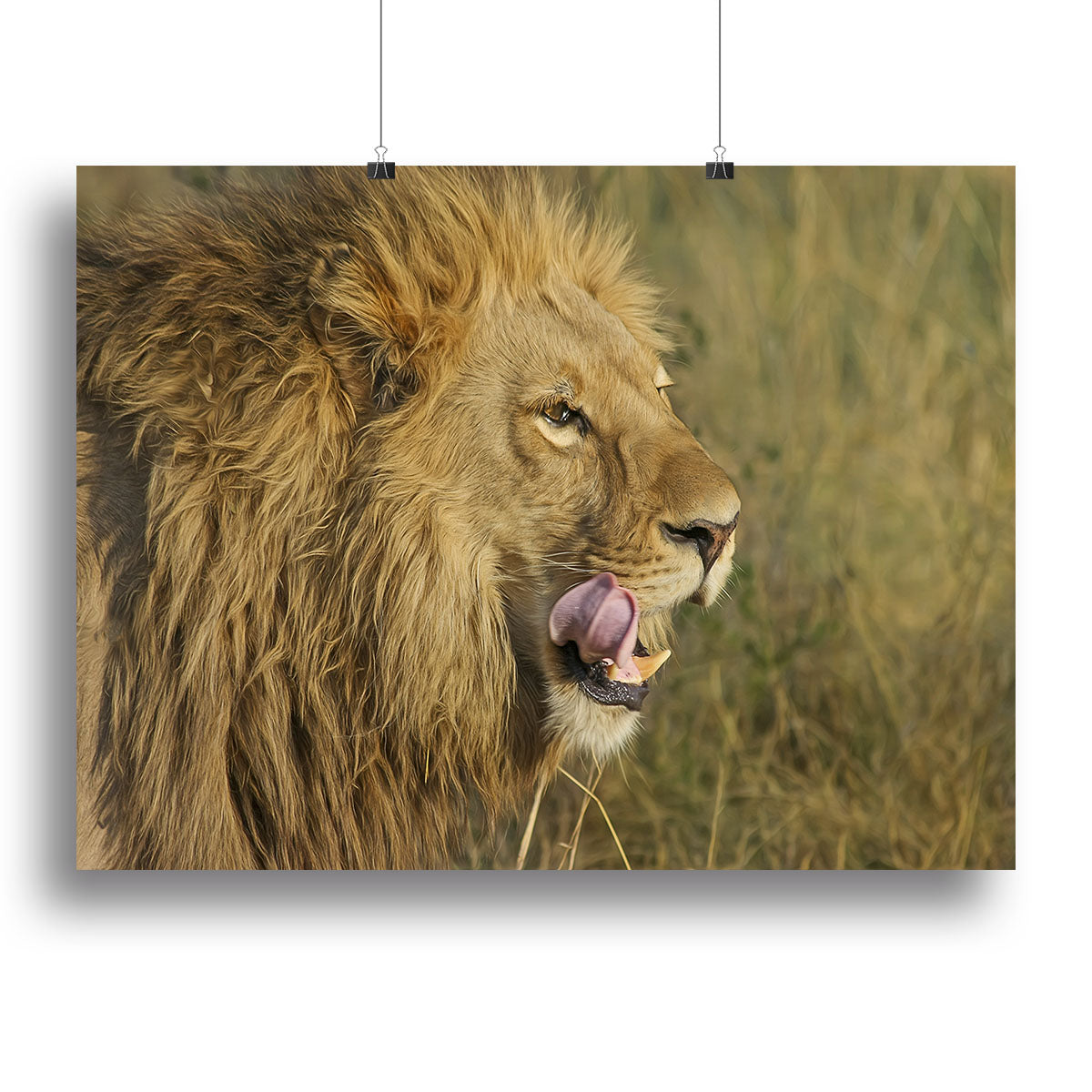 Lion Head Canvas Print or Poster - Canvas Art Rocks - 2