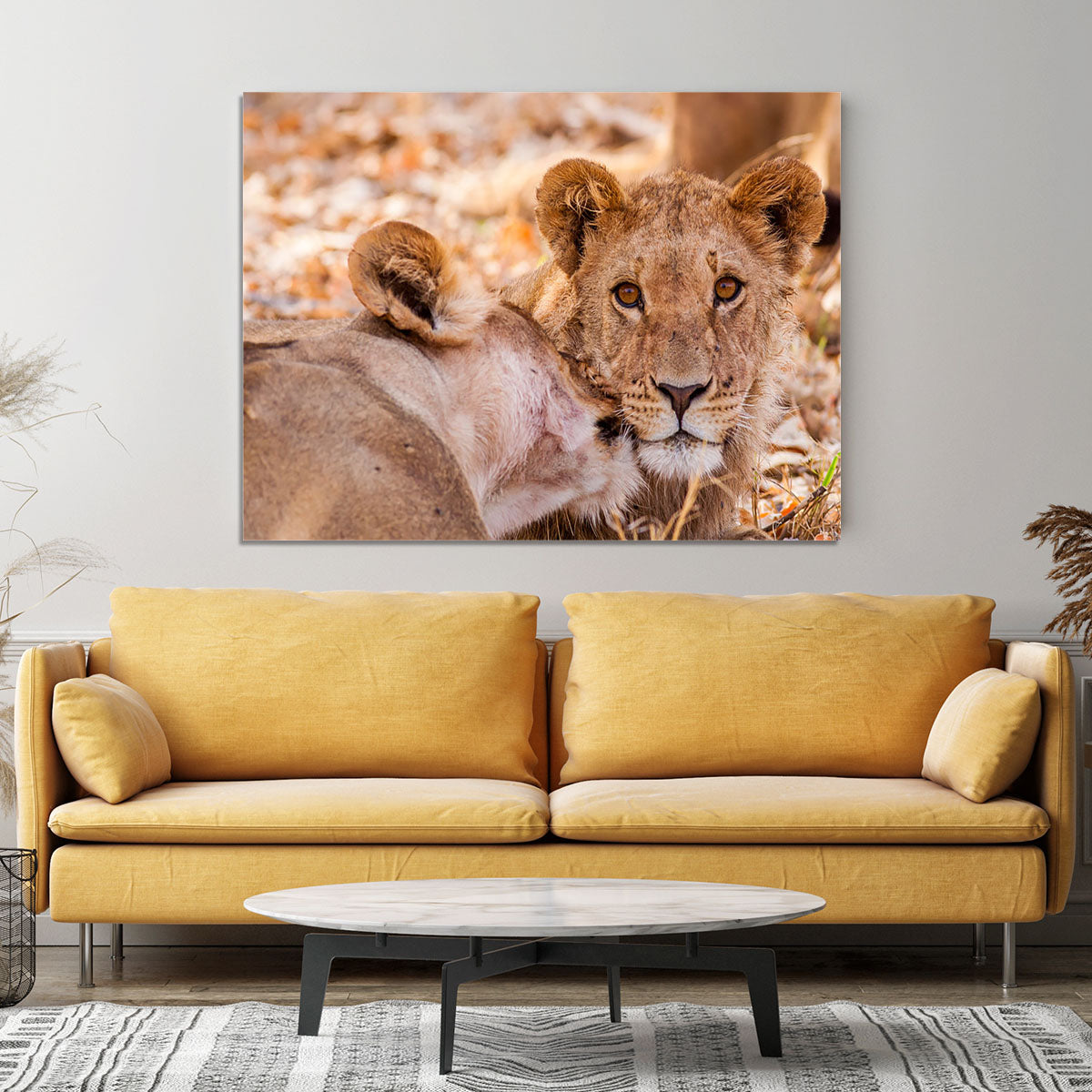 Lion cub and mother Canvas Print or Poster - Canvas Art Rocks - 4
