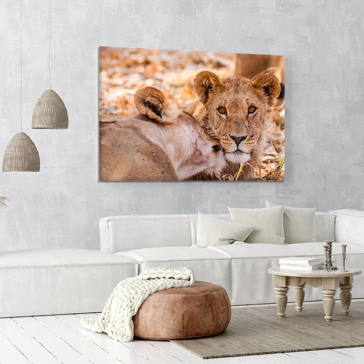 Lion cub and mother Canvas Print or Poster - Canvas Art Rocks - 6