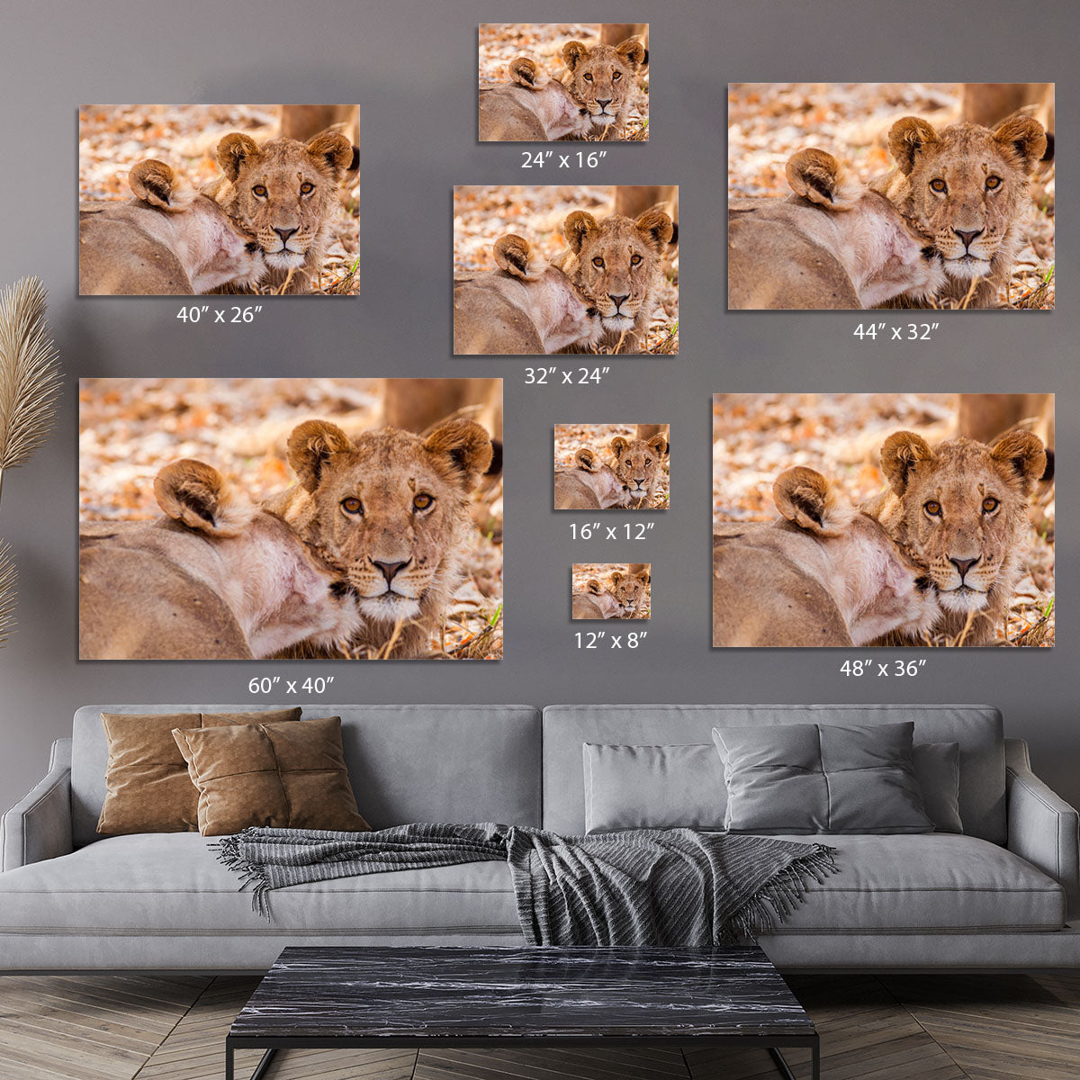 Lion cub and mother Canvas Print or Poster - Canvas Art Rocks - 7