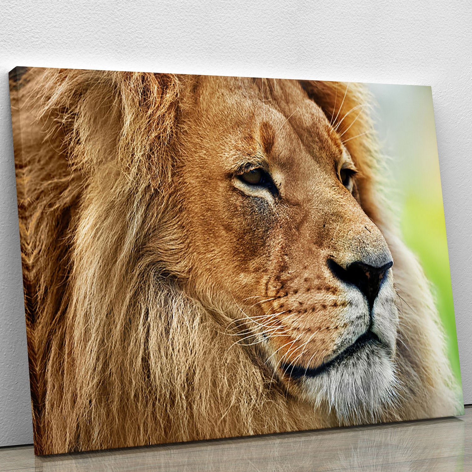 Lion portrait on savanna Canvas Print or Poster - Canvas Art Rocks - 1