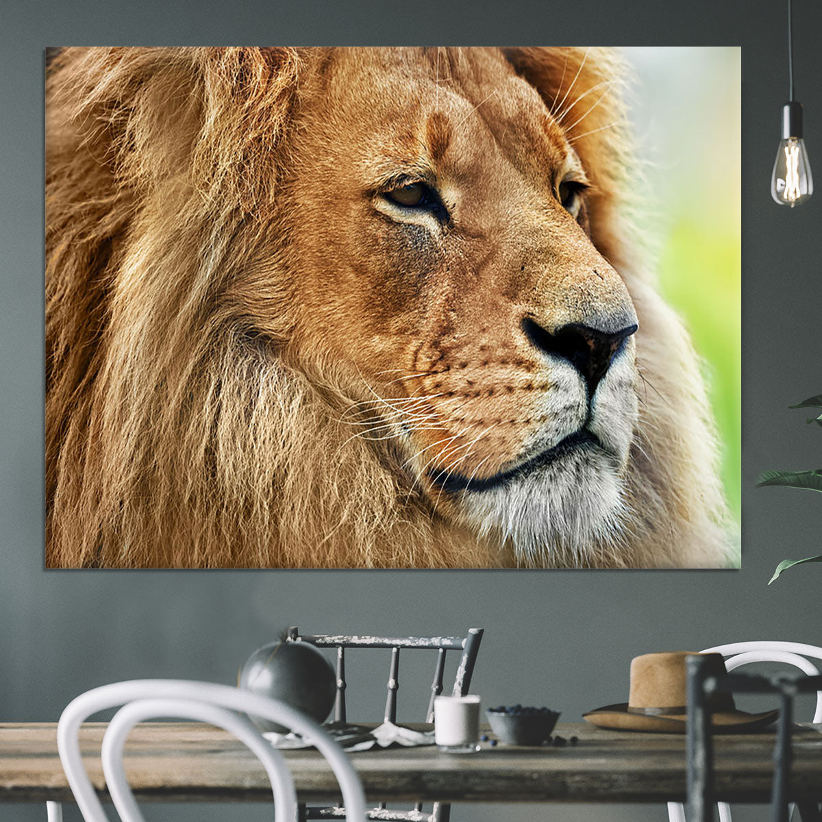 Lion portrait on savanna Canvas Print or Poster - Canvas Art Rocks - 3