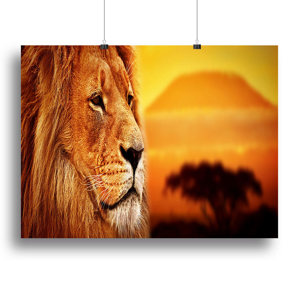 Lion portrait on savanna landscape Canvas Print or Poster - Canvas Art Rocks - 2