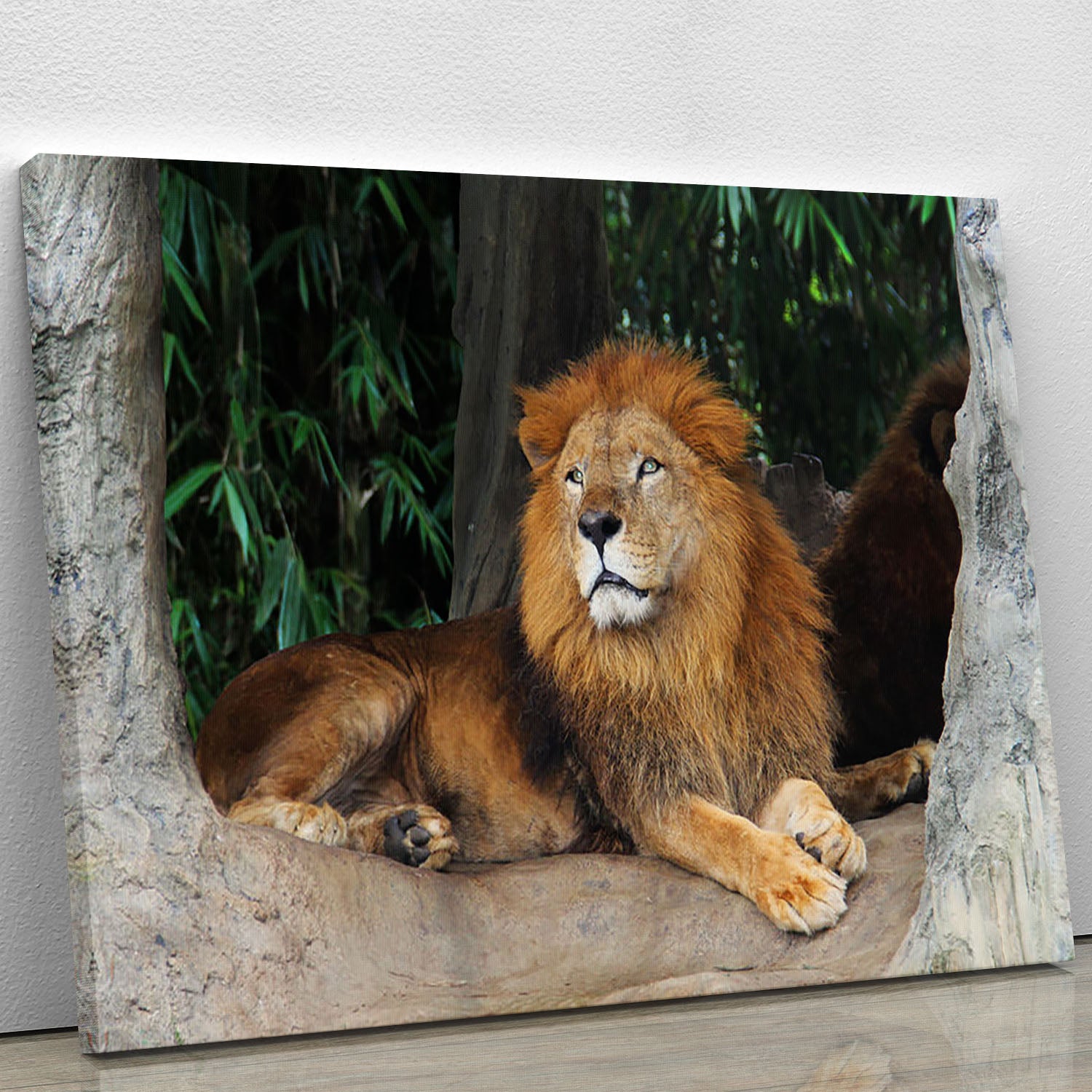 Lion resting on a tree Canvas Print or Poster - Canvas Art Rocks - 1