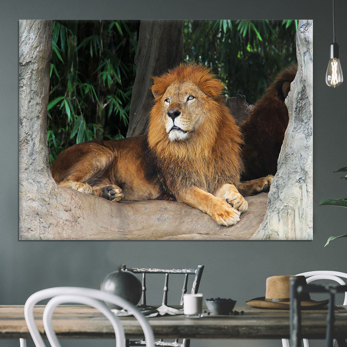 Lion resting on a tree Canvas Print or Poster - Canvas Art Rocks - 3