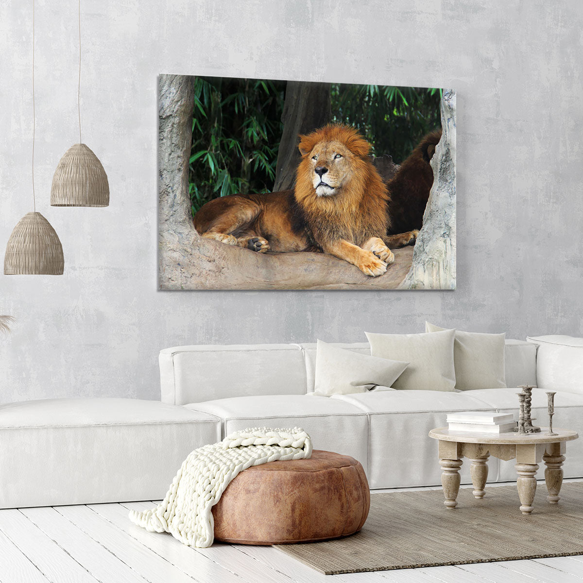 Lion resting on a tree Canvas Print or Poster - Canvas Art Rocks - 6