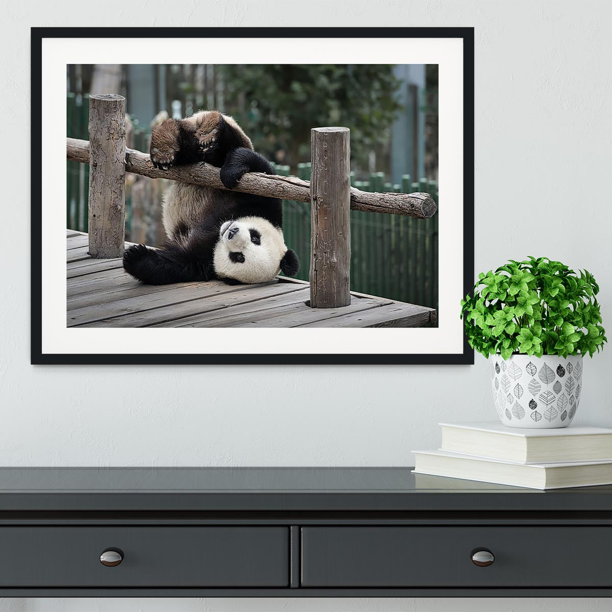 Little Panda Framed Print - Canvas Art Rocks - 1