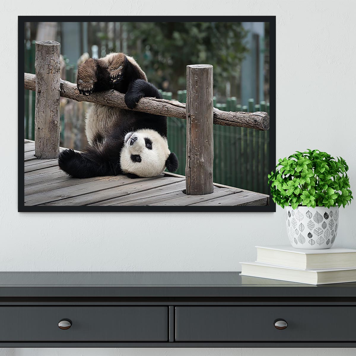 Little Panda Framed Print - Canvas Art Rocks - 2