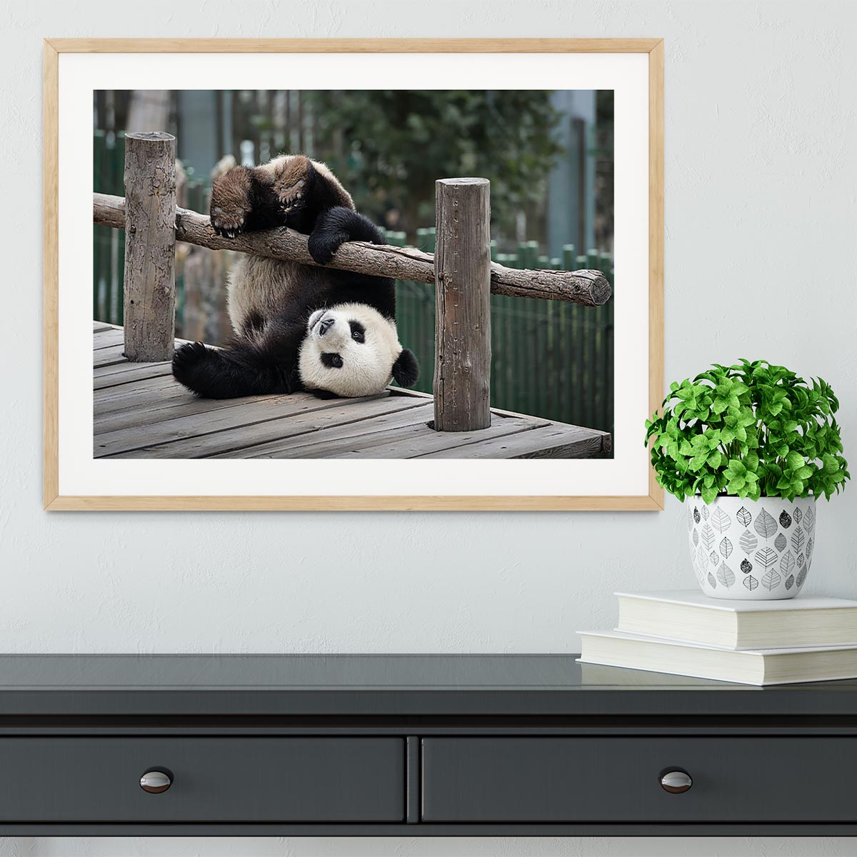 Little Panda Framed Print - Canvas Art Rocks - 3