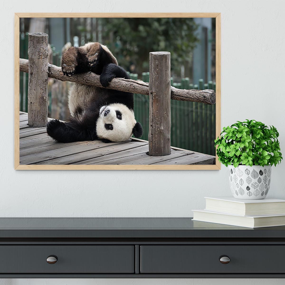 Little Panda Framed Print - Canvas Art Rocks - 4
