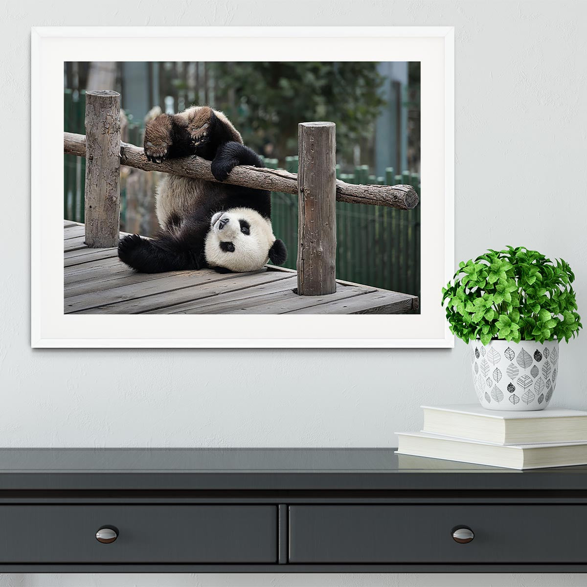 Little Panda Framed Print - Canvas Art Rocks - 5