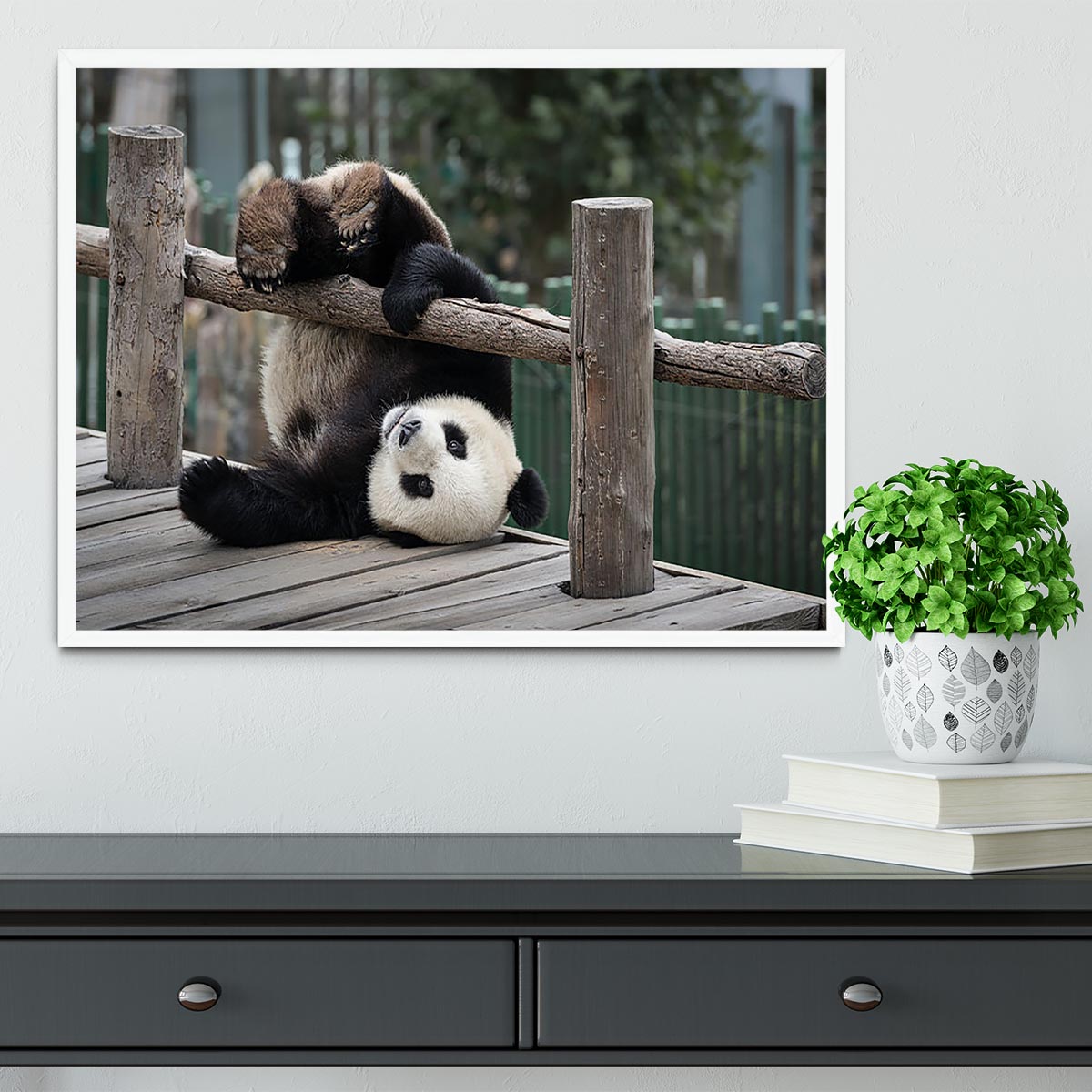 Little Panda Framed Print - Canvas Art Rocks -6