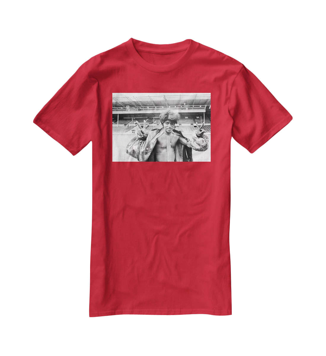Little Richard at Wembley Stadium T-Shirt - Canvas Art Rocks - 4