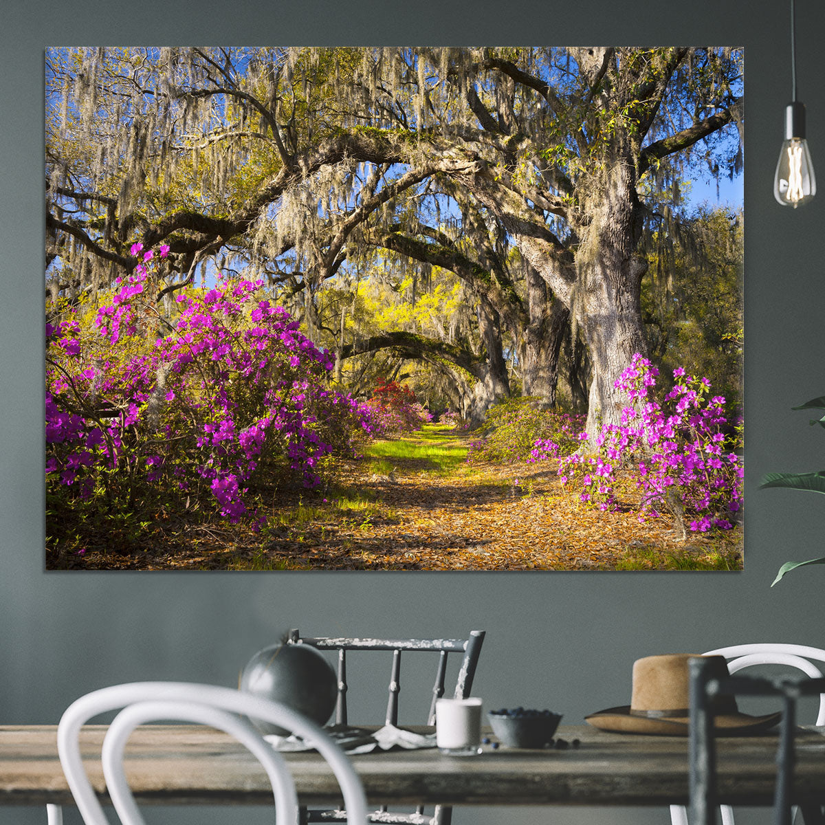 Live oak trees in morning sunlight Canvas Print or Poster - Canvas Art Rocks - 3