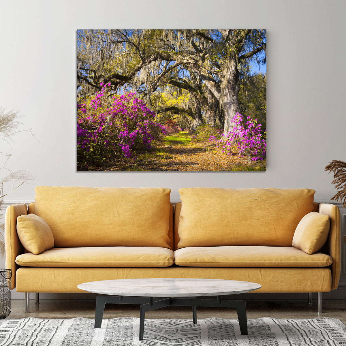 Live oak trees in morning sunlight Canvas Print or Poster - Canvas Art Rocks - 4