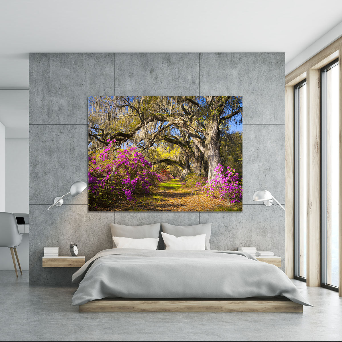 Live oak trees in morning sunlight Canvas Print or Poster - Canvas Art Rocks - 5