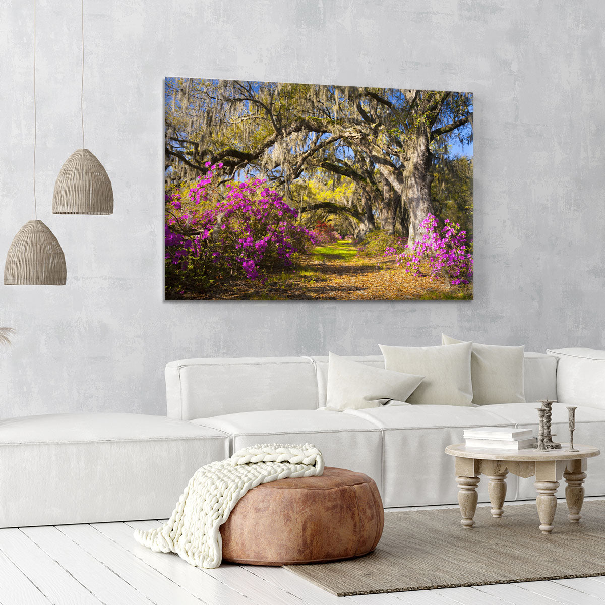 Live oak trees in morning sunlight Canvas Print or Poster - Canvas Art Rocks - 6