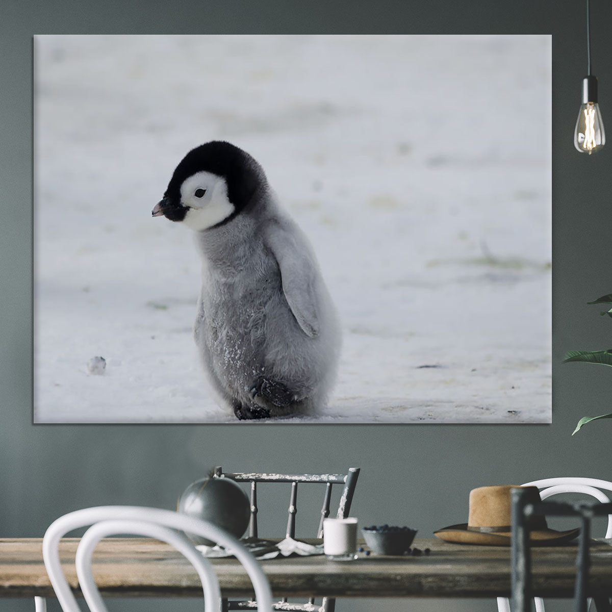 Lone Penguin Chick Canvas Print or Poster - Canvas Art Rocks - 3