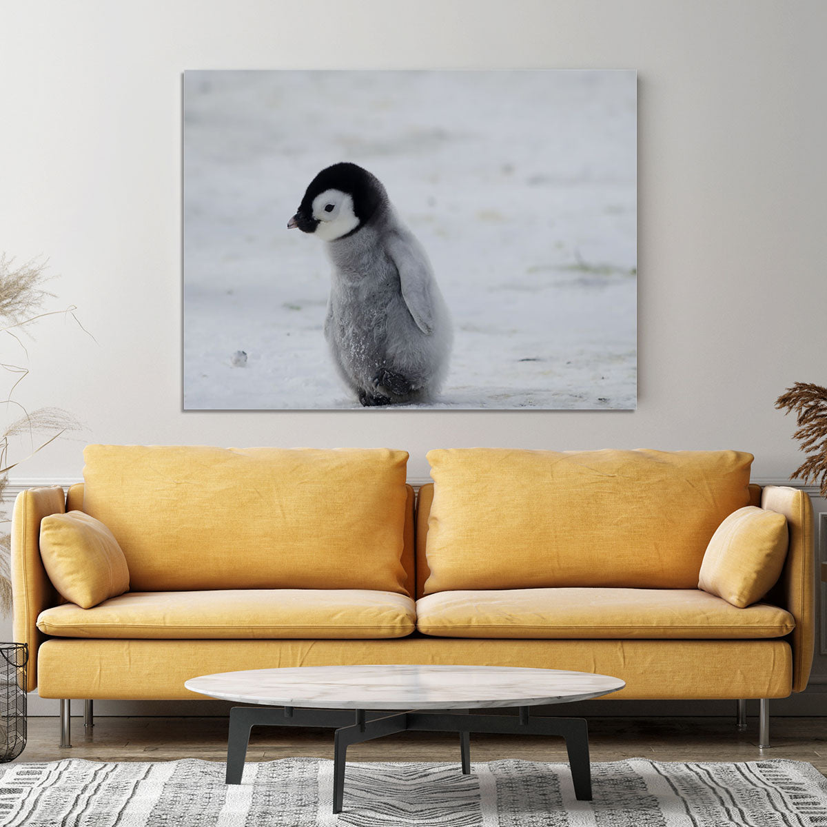 Lone Penguin Chick Canvas Print or Poster - Canvas Art Rocks - 4