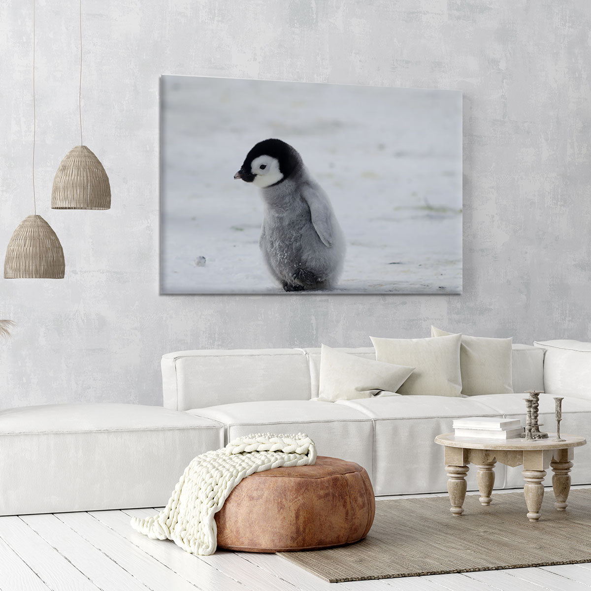 Lone Penguin Chick Canvas Print or Poster - Canvas Art Rocks - 6