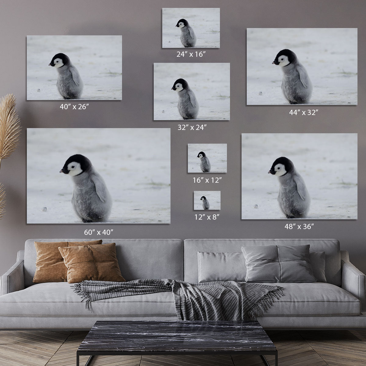 Lone Penguin Chick Canvas Print or Poster - Canvas Art Rocks - 7