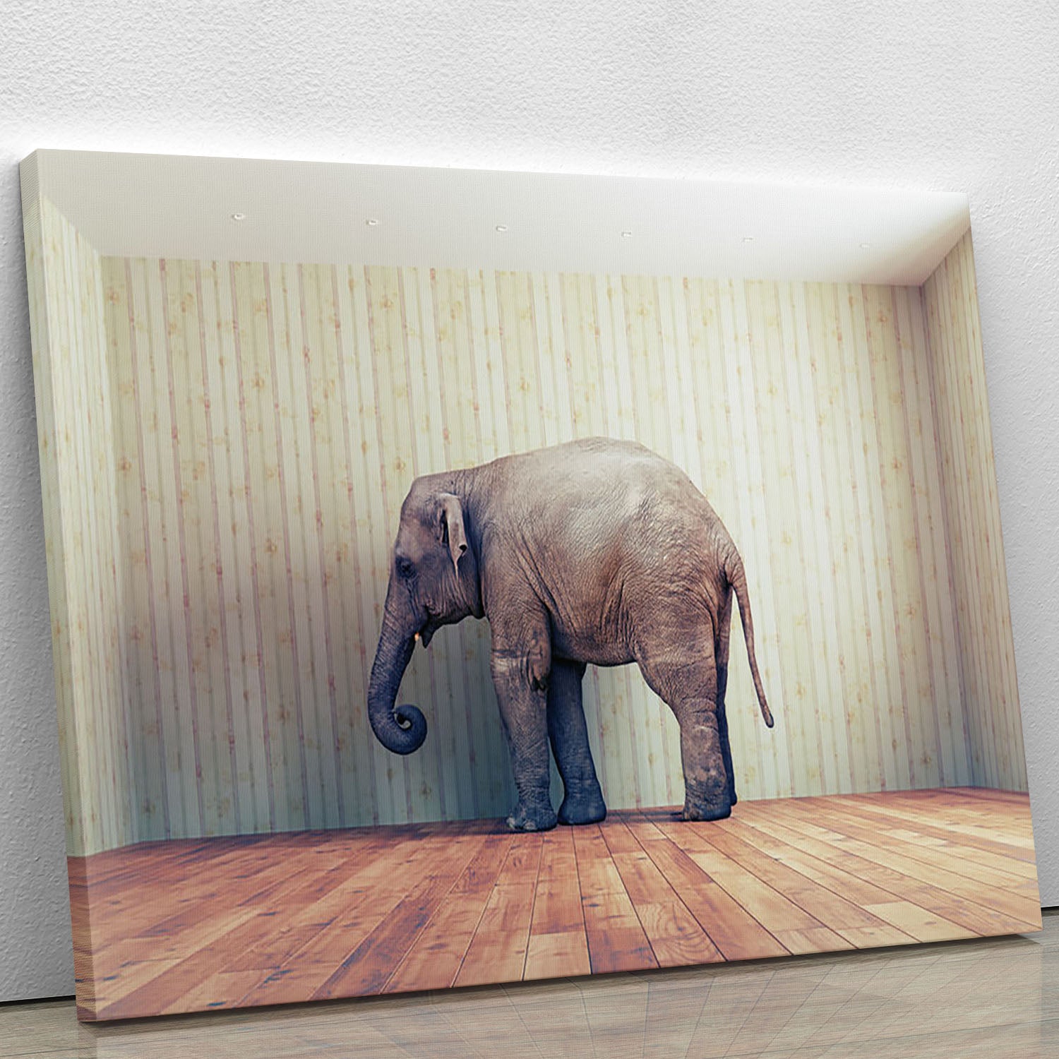 Lone elephant in the room Canvas Print or Poster - Canvas Art Rocks - 1