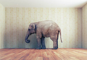Lone elephant in the room Wall Mural Wallpaper - Canvas Art Rocks - 1