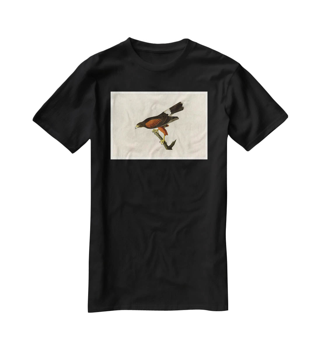 Louisiana Hawk by Audubon T-Shirt - Canvas Art Rocks - 1