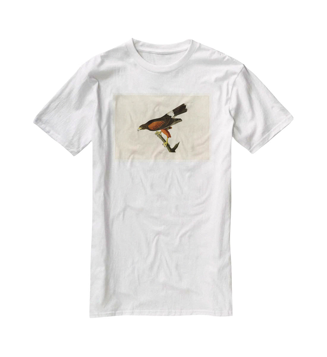 Louisiana Hawk by Audubon T-Shirt - Canvas Art Rocks - 5