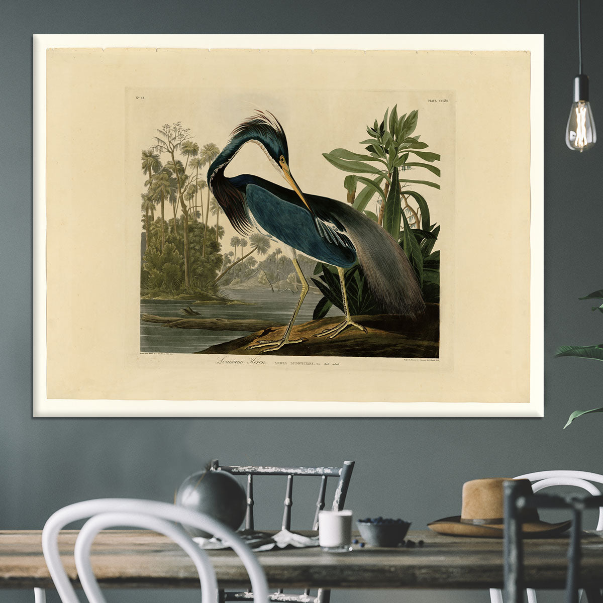 Louisiana Heron by Audubon Canvas Print or Poster - Canvas Art Rocks - 3
