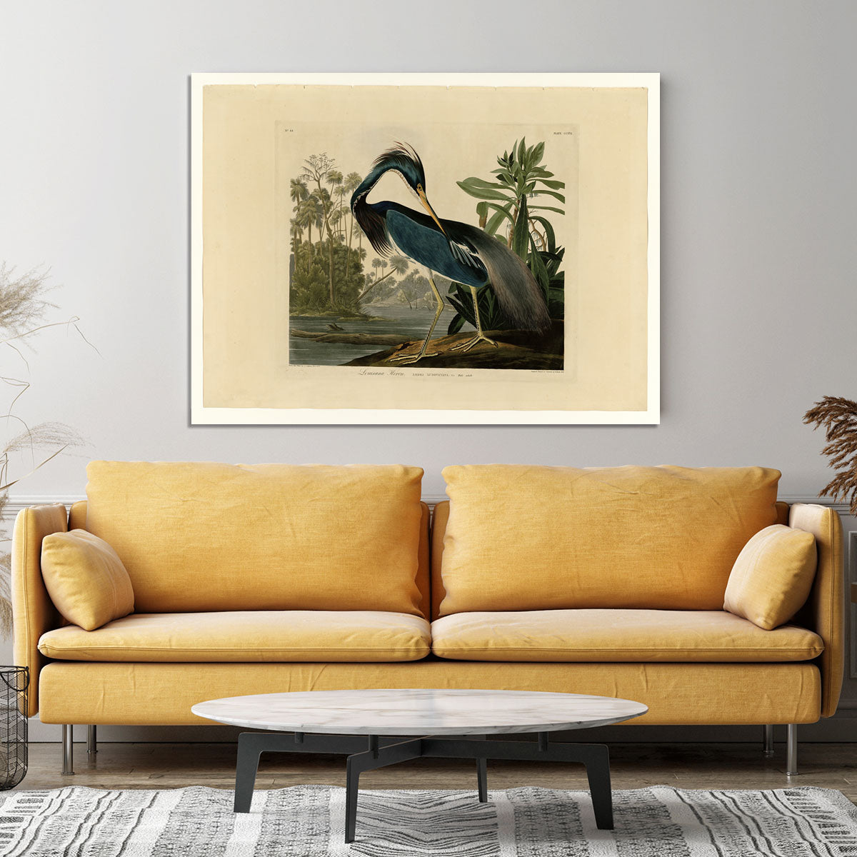 Louisiana Heron by Audubon Canvas Print or Poster - Canvas Art Rocks - 4