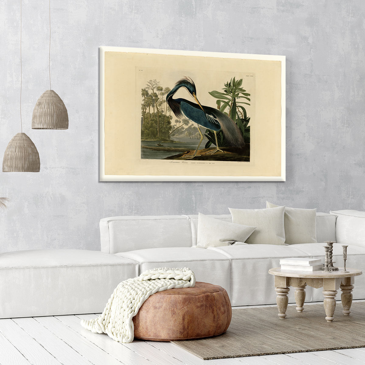 Louisiana Heron by Audubon Canvas Print or Poster - Canvas Art Rocks - 6