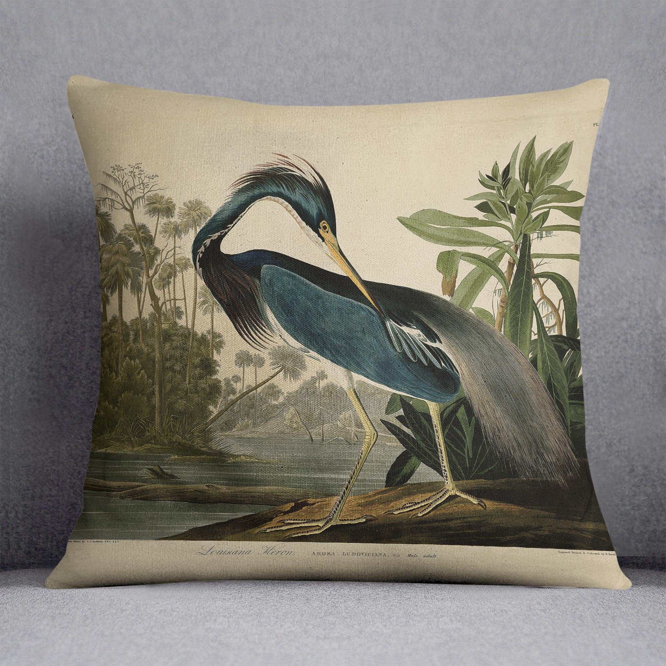 Louisiana Heron by Audubon Cushion