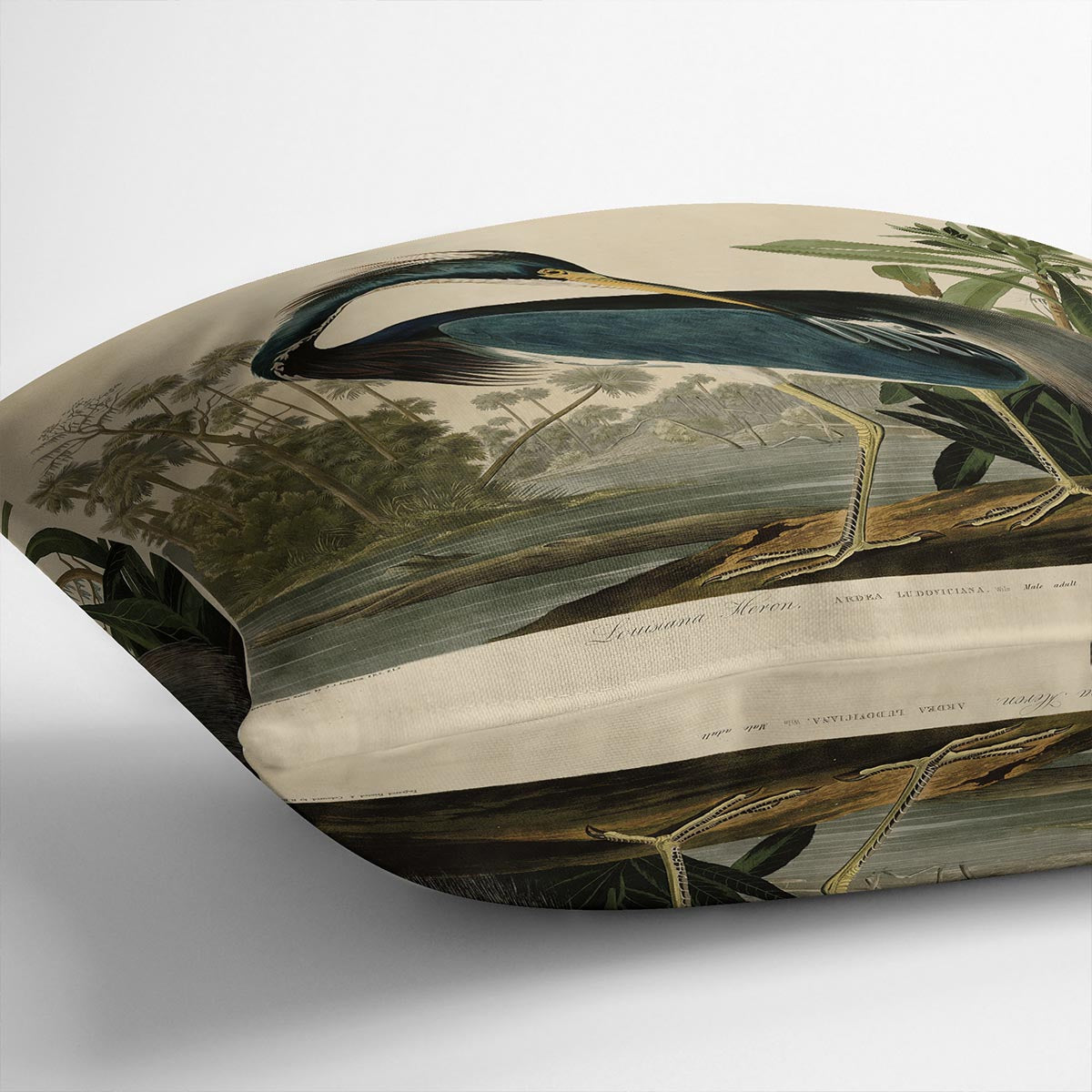 Louisiana Heron by Audubon Cushion