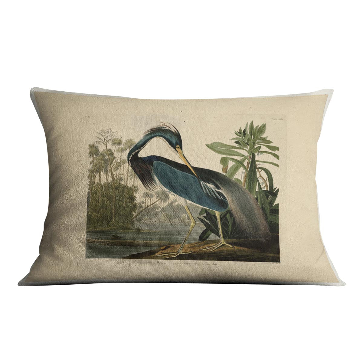 Louisiana Heron by Audubon Cushion