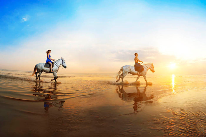 Love background Family and horse in the sunshine Wall Mural Wallpaper