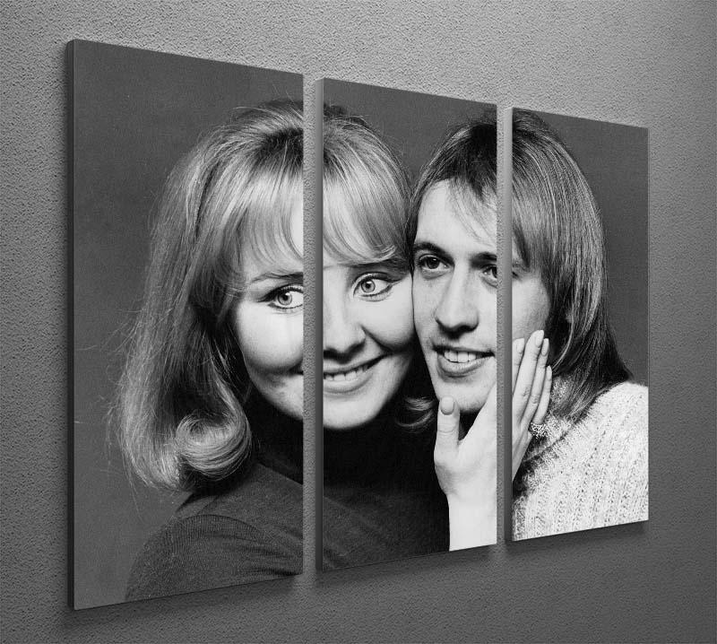 Lulu with Maurice Gibb of the Bee Gees 3 Split Panel Canvas Print - Canvas Art Rocks - 2