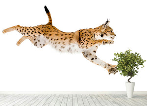 Lynx in front of a white background Wall Mural Wallpaper - Canvas Art Rocks - 4