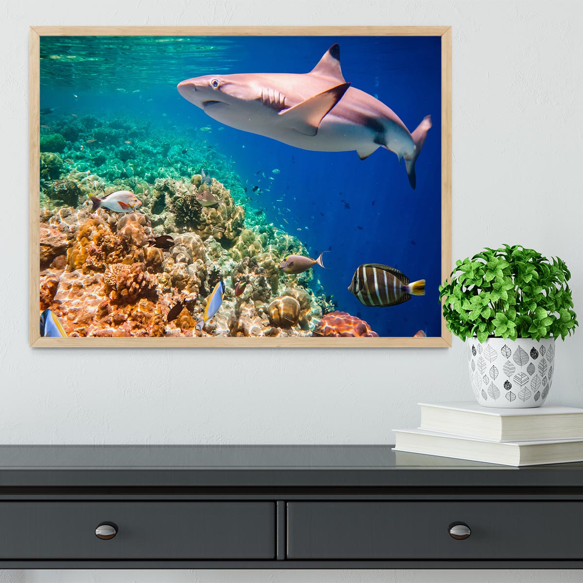 Maldives Indian Ocean coral reef Framed Print - Canvas Art Rocks - 4